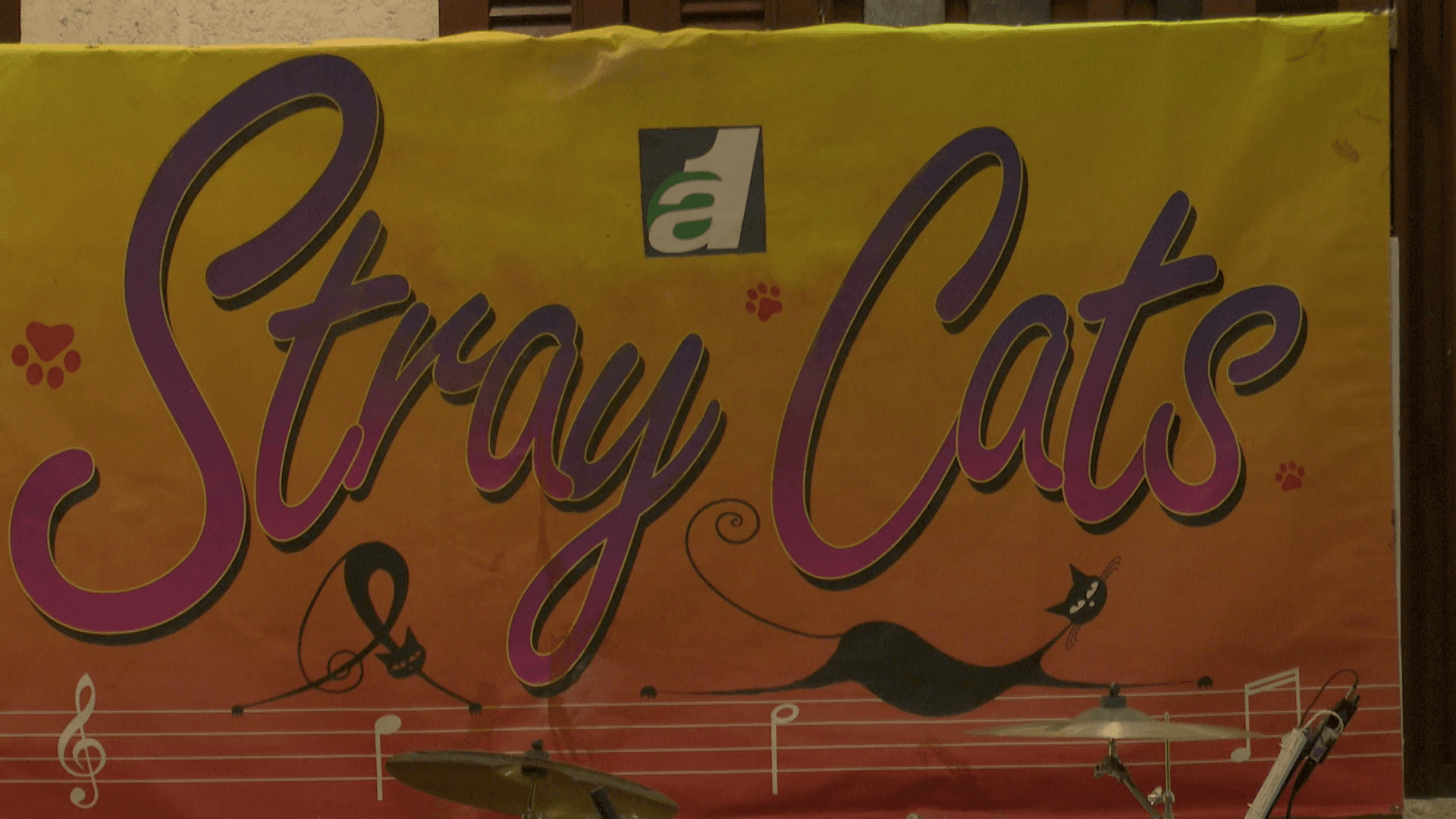 A1Stray Cats Calypso Tent unveils 2026 season offerings