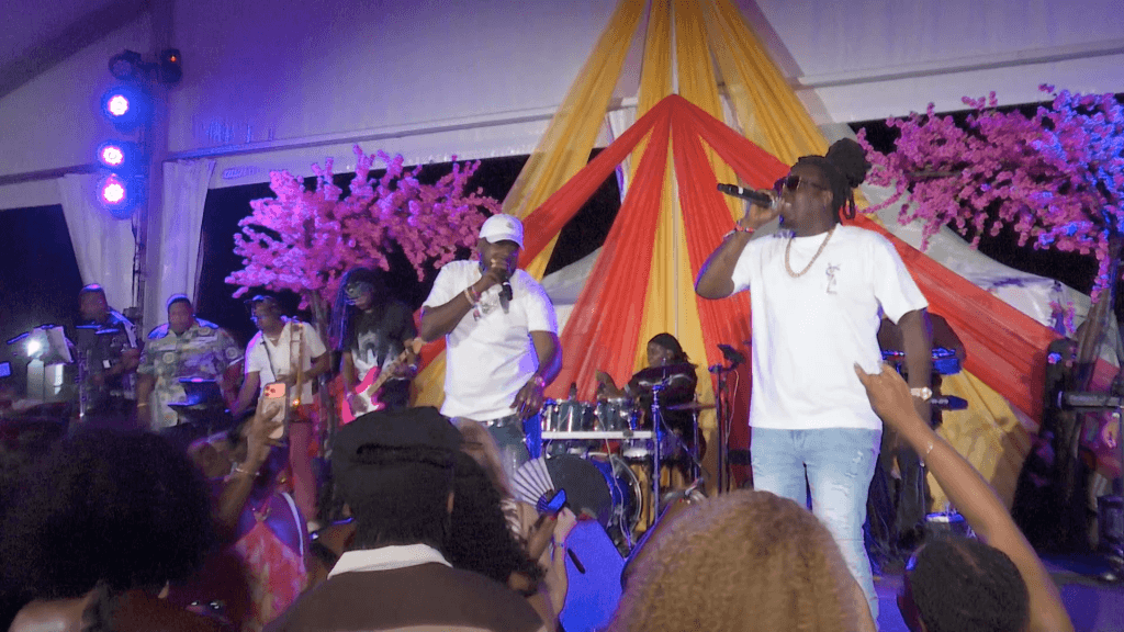 Dis Gotta Be Mas fete draws massive Crop Over crowd