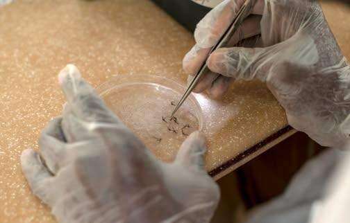 US gripped by major outbreak of intestinal infections