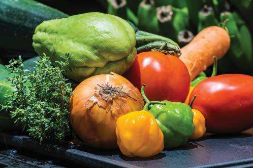 Fi Wi Children endorses school gardens as key tool in reducing NCDs among youth