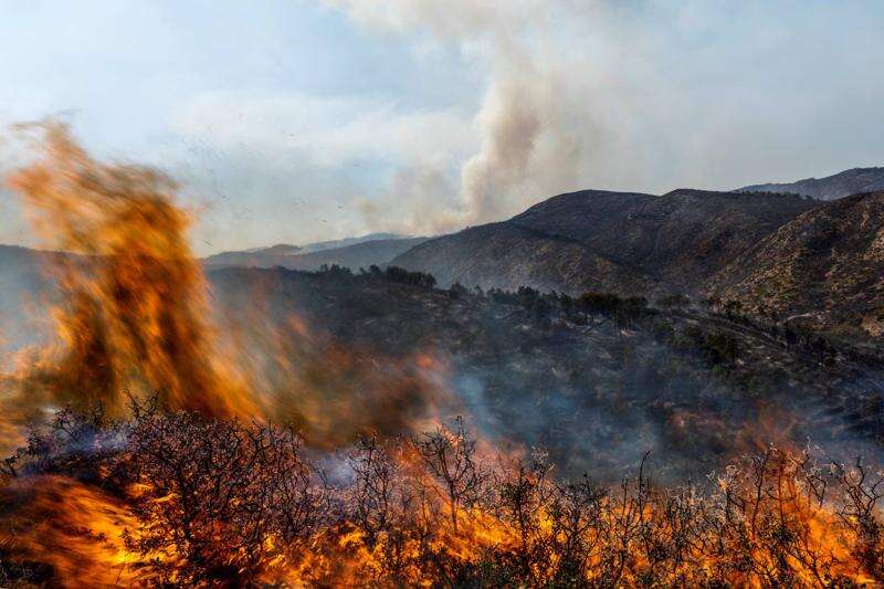 Greenland sees wildfires earlier in the year