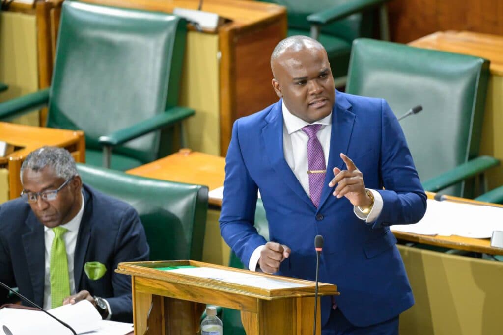 The houses are here, says Fitz-Henley
