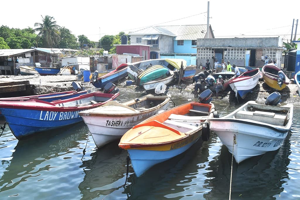 Report warns offshore oil exploration could threaten Jamaica’s marine ecosystems — JET