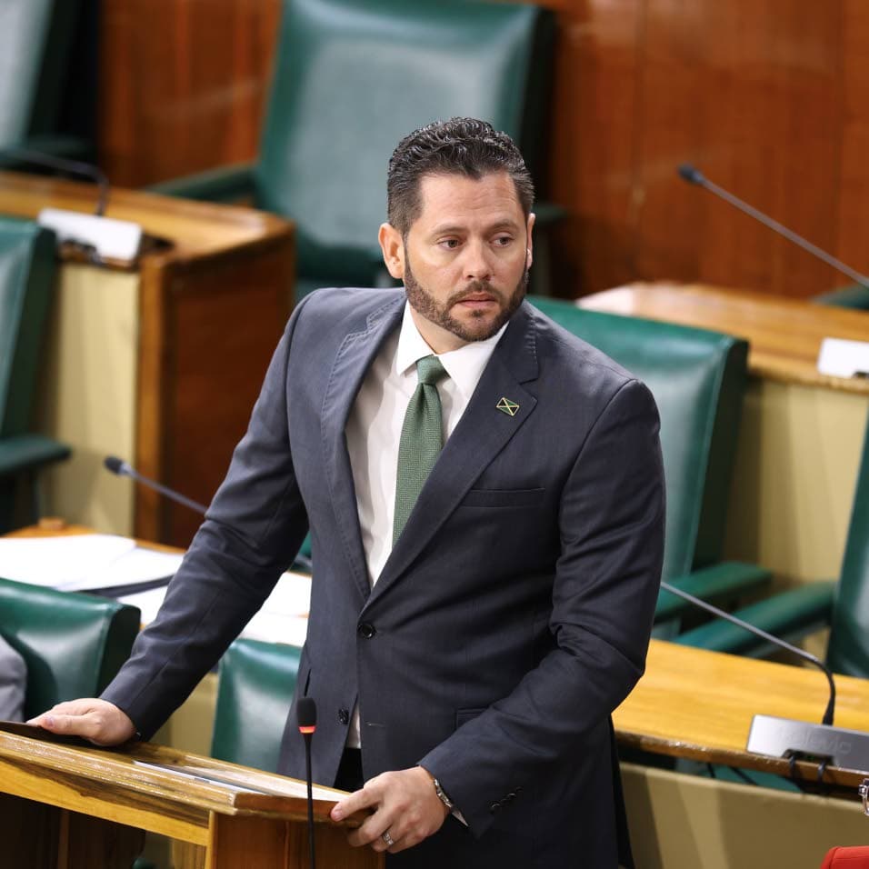 ‘Don’t make it permanent’ cautions Tavares-Finson while backing Govt’s decision to withdraw funds from NHT