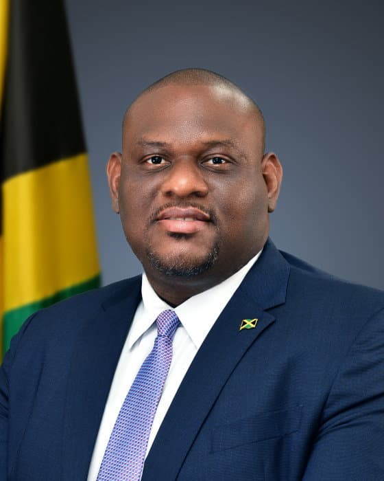 Senator Morgan accuses PNP of engaging in ‘scorched earth’ policy against NaRRA