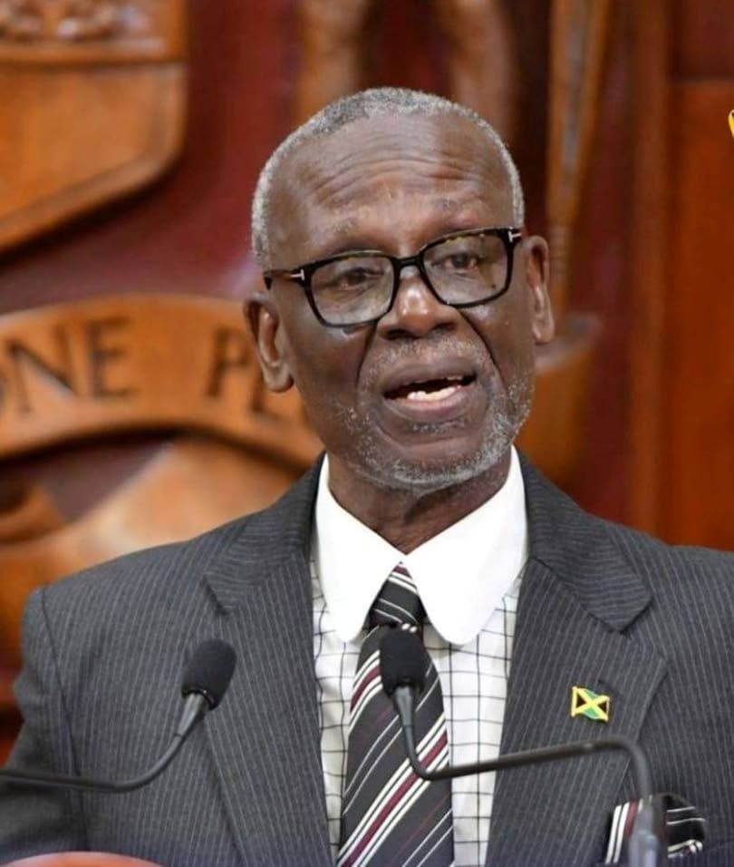 McKenzie rips into PNP’s Dwaye Vaz, names people still sheltering at Petersfield High School as his ‘avid supporters’