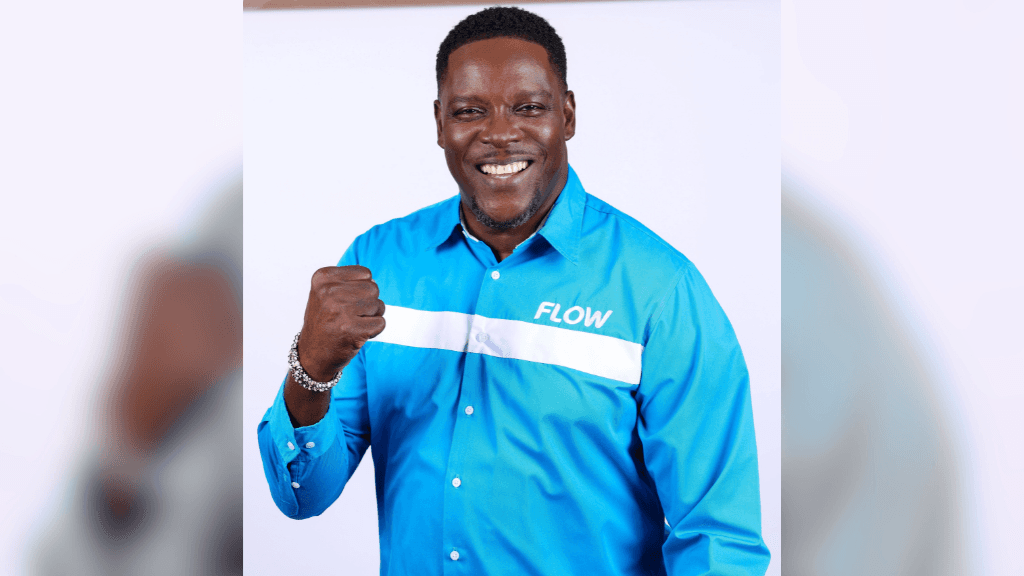 Flow urges Caribbean focus on fair digital contribution from global tech giants