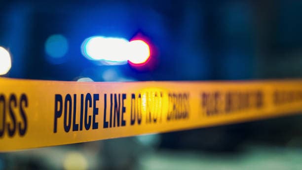 Torso found in bushes in St Elizabeth