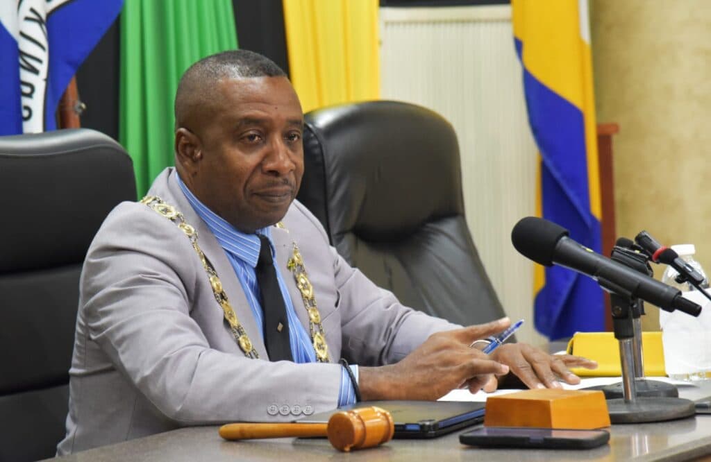 Swaby reiterates concerns about One Road Authority