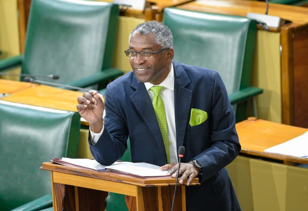 NaRRA could create largest employment programme in modern history – Senator Gayle
