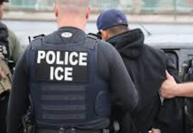 Haitian group demands âfull, independent investigationâ into the fatal ICE shooting