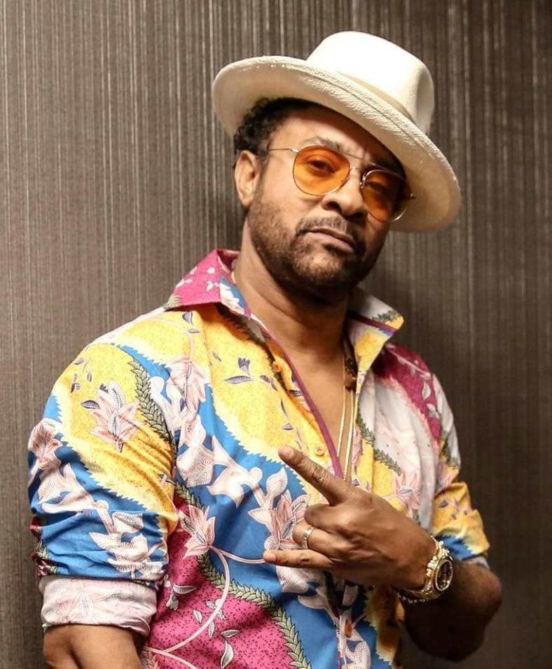 Shaggyâs Boombastic single hits 2x platinum in New Zealand