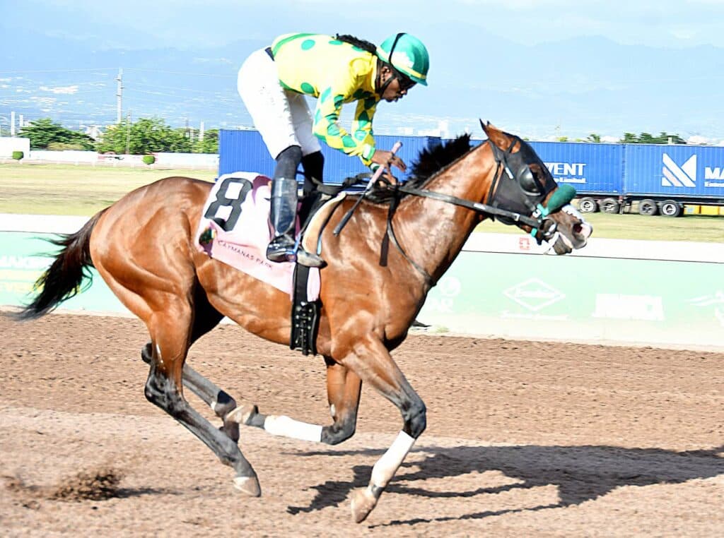 RicoRicoRico cruises in James B Dawes Memorial Division 1