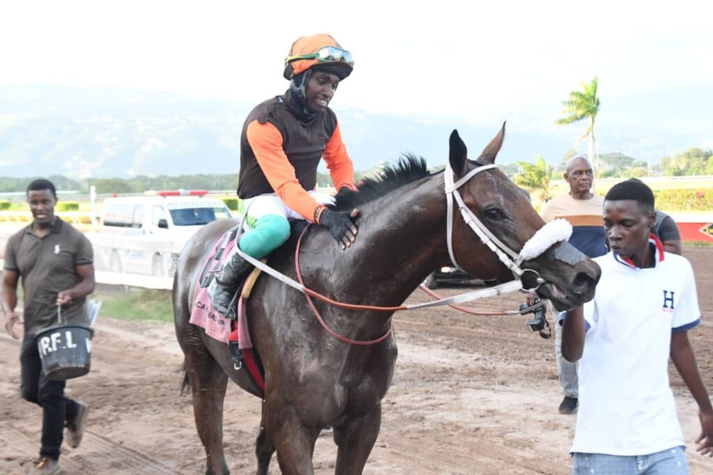 Stardom stuns at 13-1 in Kingston Stakes sweep for Subratie