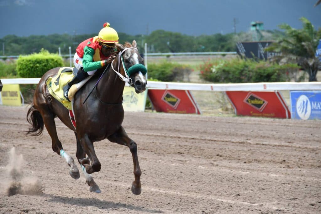 RACE DAY REVIEW FOR SATURDAY, MAY 23, 2026