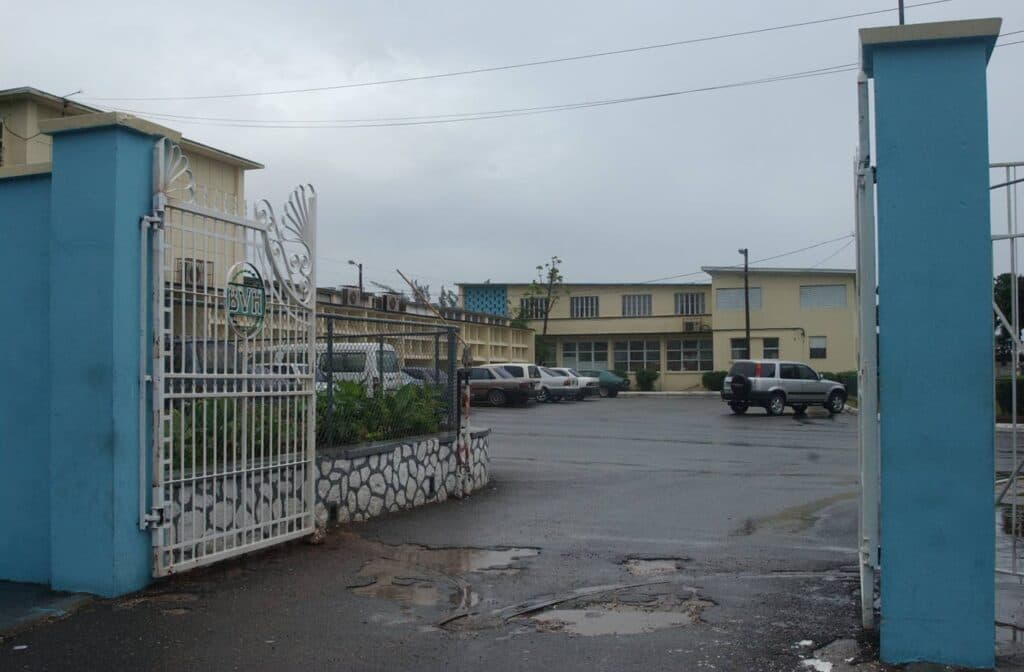Bellevue pushes to reframe ‘madness’ in Jamaica