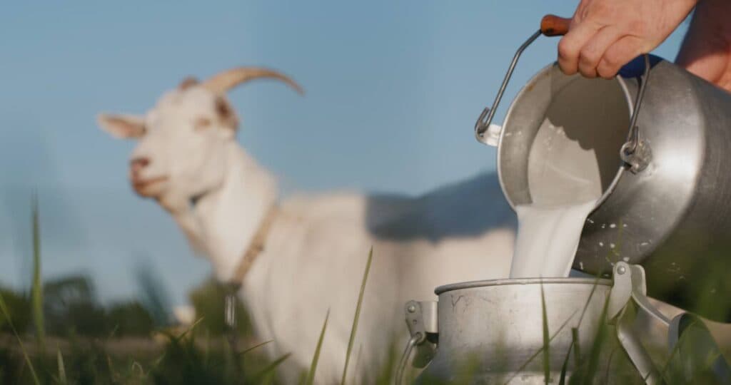 New dairy rules aim to close loopholes