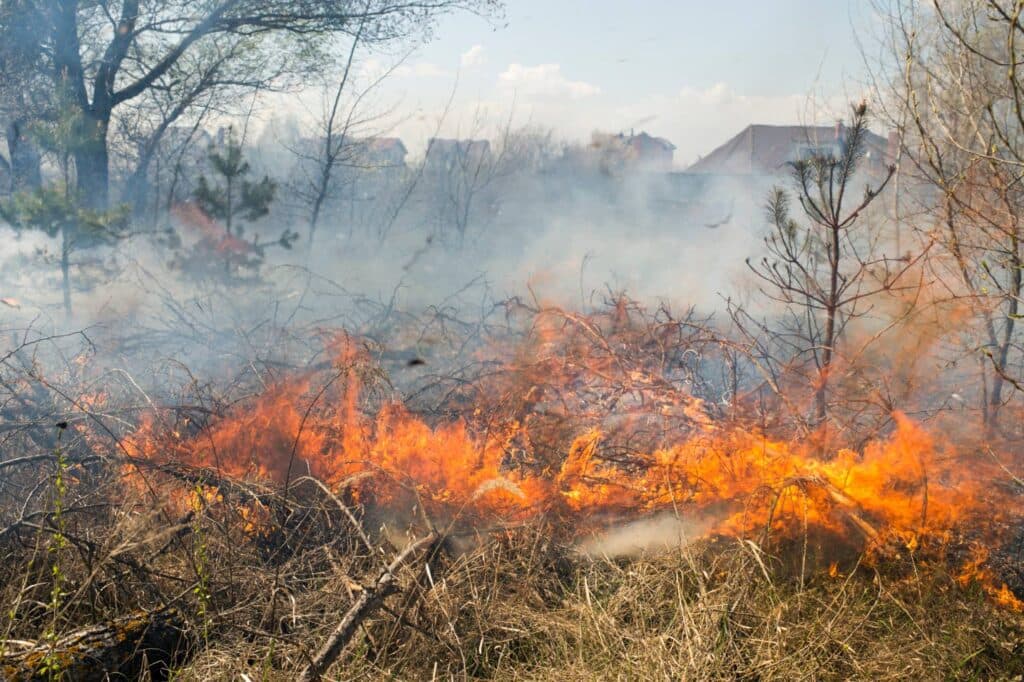 Nearly $10 billion in property lost to fires in 2025, says PIOJ