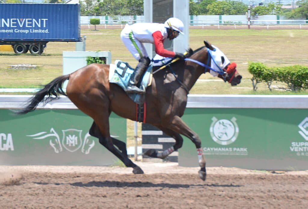 Sifting through the little-known dynamics of race day, Saturday, May 16, 2026