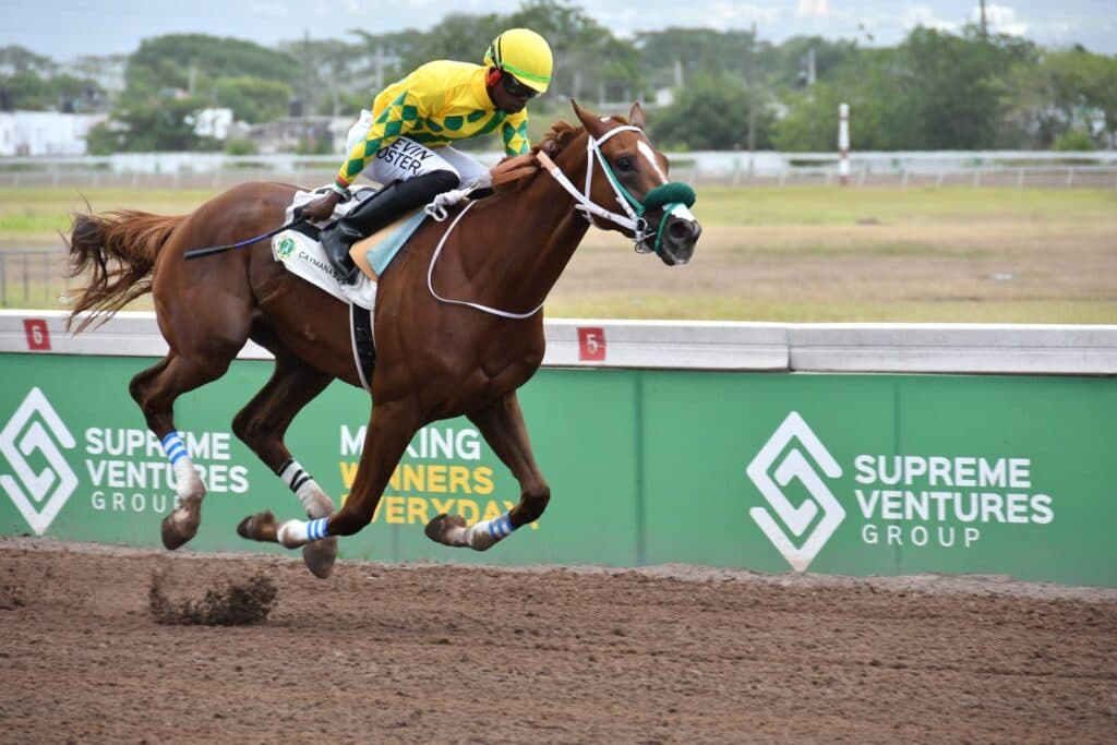 DaCosta dominates with four-winner haul on Saturday card