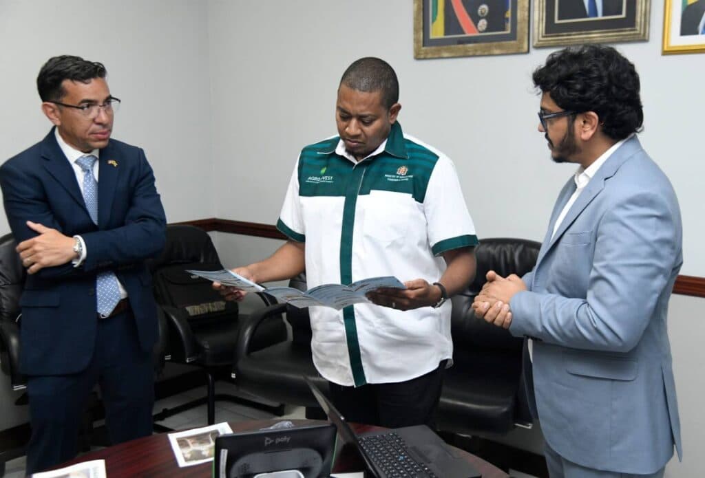 Jamaica taps into packaging expertise of Ecotact