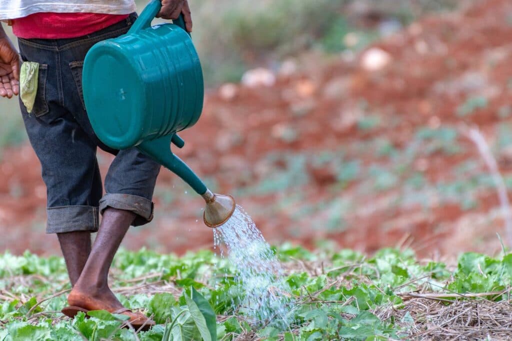 $145-m drought-mitigation plan