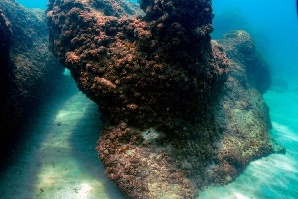 EU monitor says sea temperatures near all-time highs as El Nino looms
