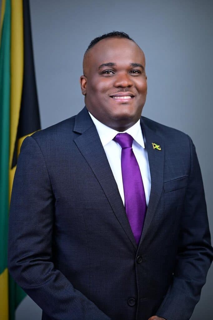 Fitz-Henley rejects criticism of Anderson appointment, accuses PNP of ‘maligning patriotic Jamaicans’