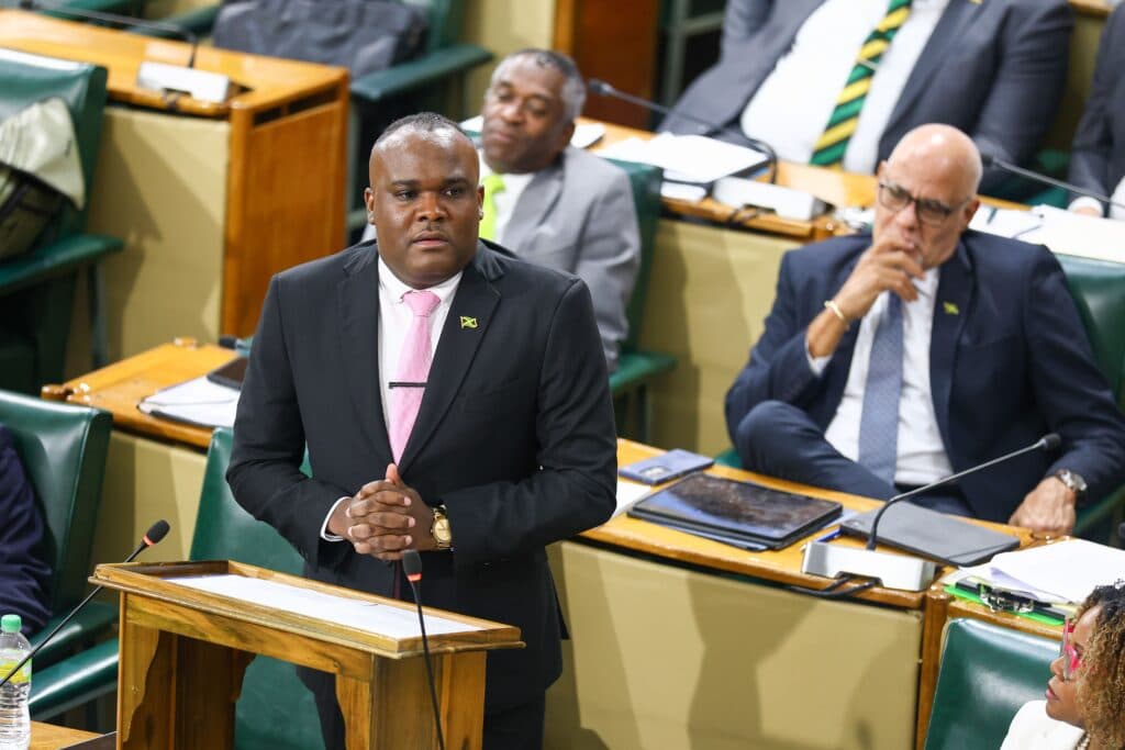 Fitz-Henley insists NaRRA Bill contains strong oversight mechanisms