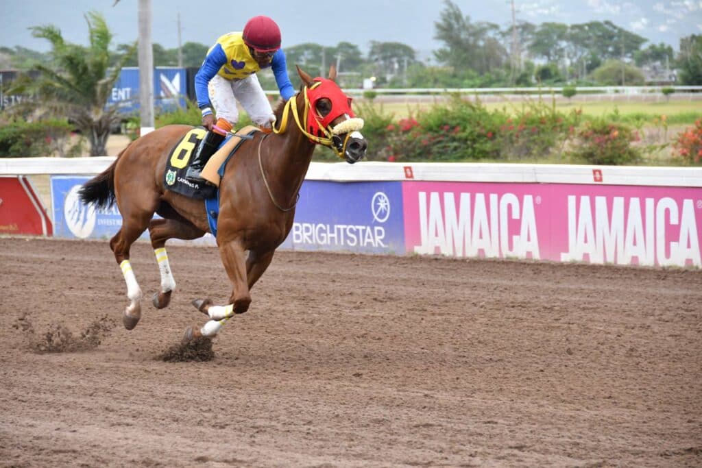 Blinkers spark Cryptogirl to convincing win