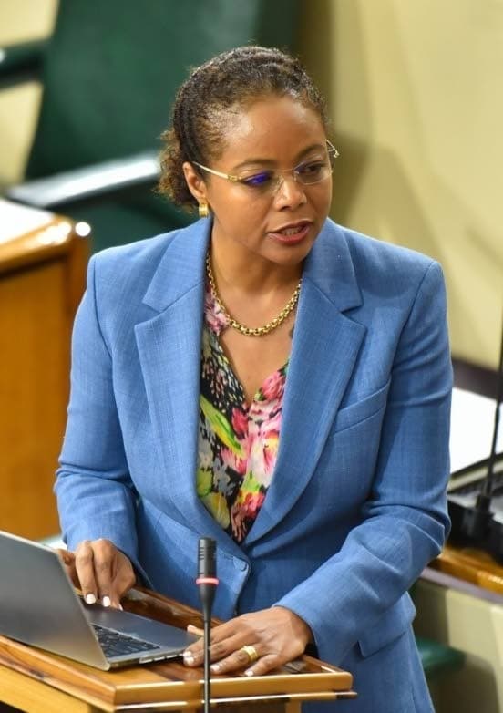 MP absences bring parliamentary work to a halt