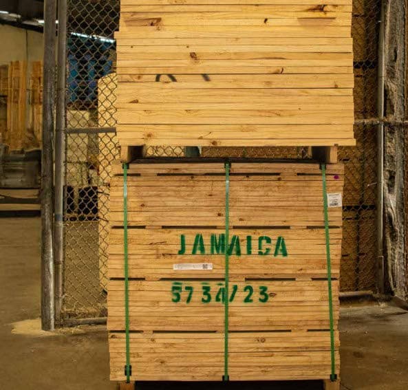 Woodcats eyes eastern Caribbean expansion