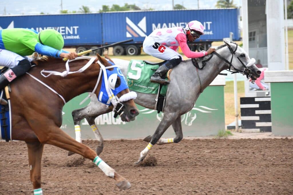 Gordon marks return with win as Himaya storms late to land thriller