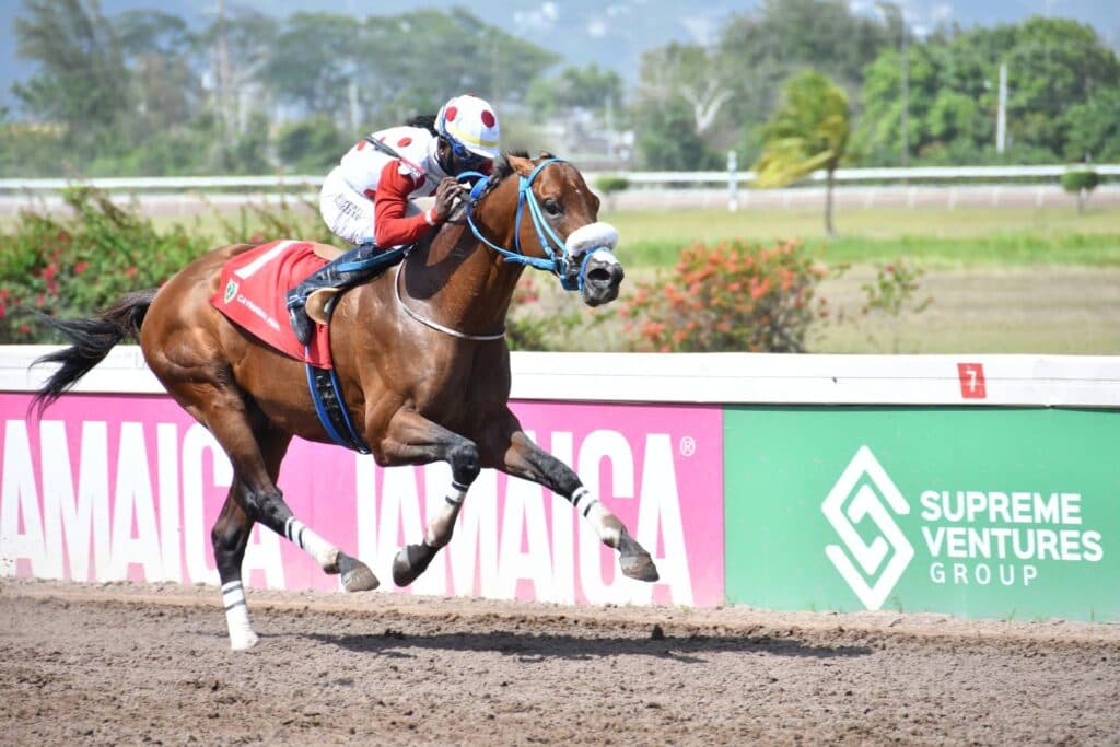Funcaandun dominant in Seeking My Dream Trophy