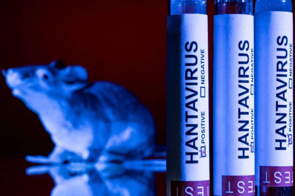 Hantavirus watch