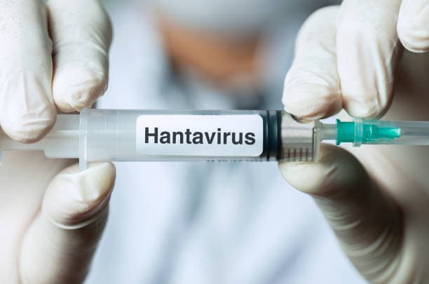 CARPHA urges caution even as hantavirus infection risk low in the Caribbean