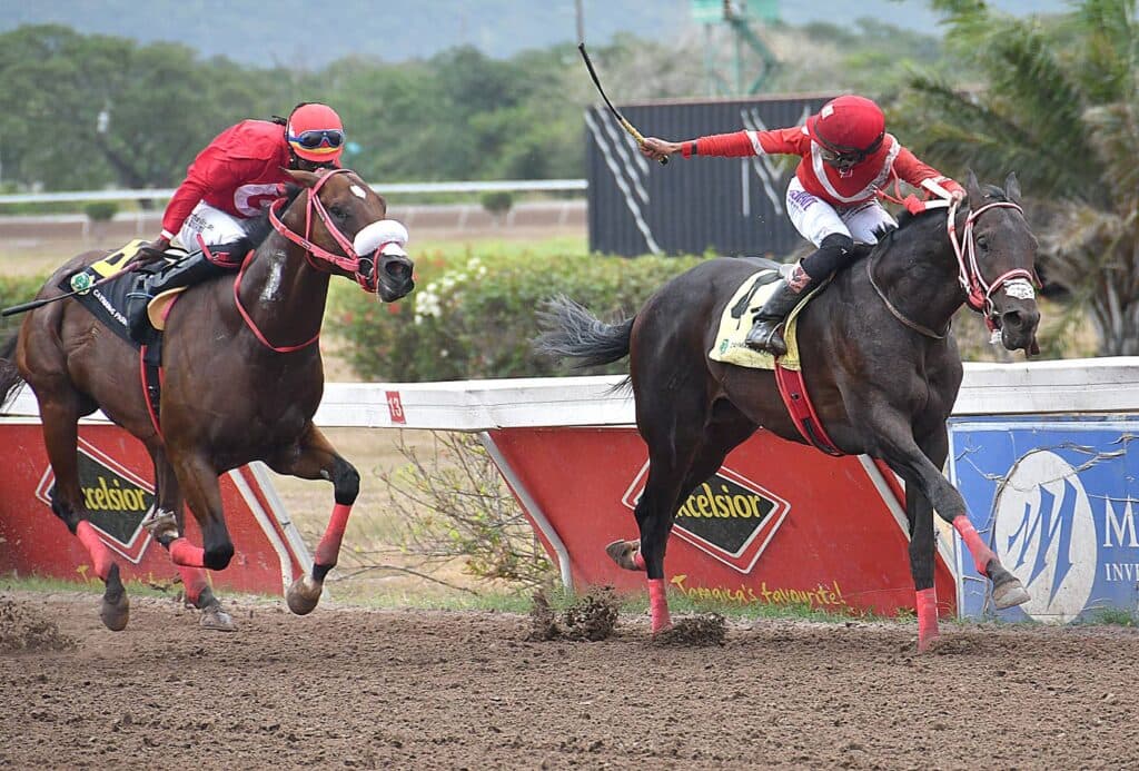 1000 Guineas race day review — Saturday, June 6, 2026