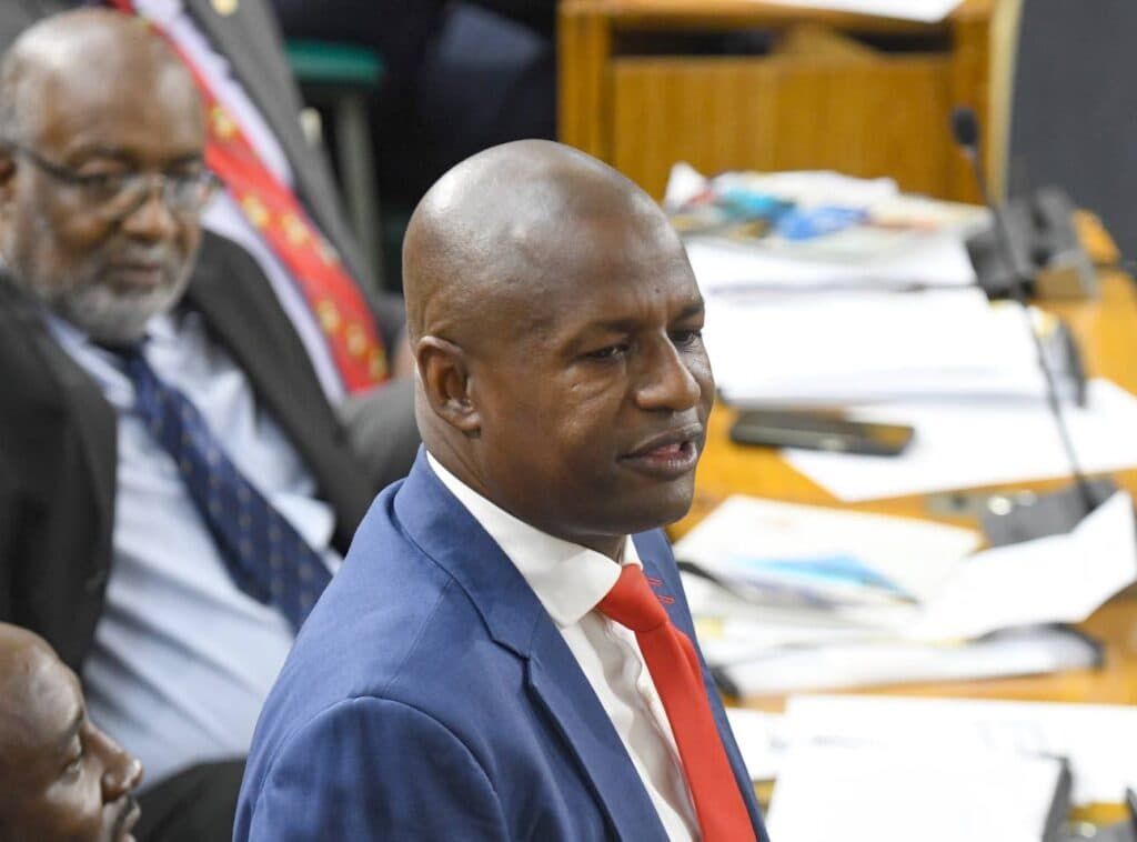 Hayles accuses Govât of bypassing PNP constituencies as it expands water supply