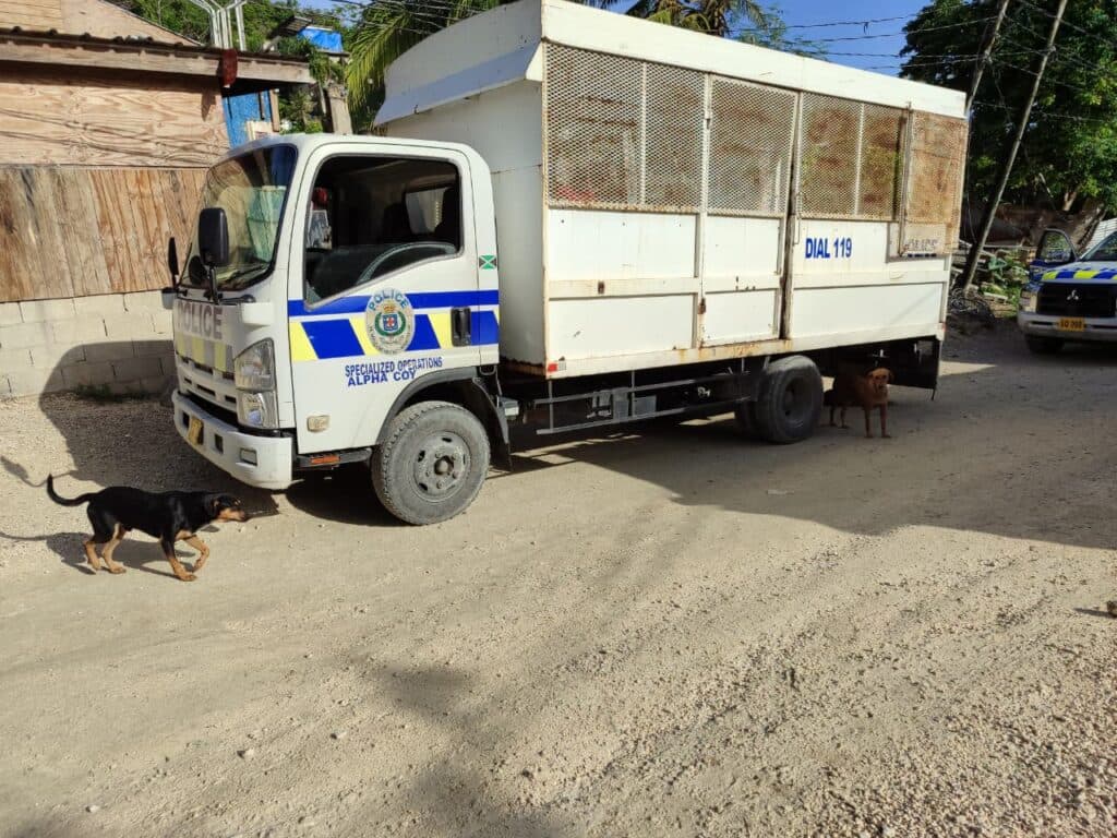 UPDATE: Father and son among dead following security operation in Montego Bay