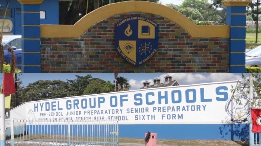 Hydel, Cumberland high schools to merge, says Education Ministry