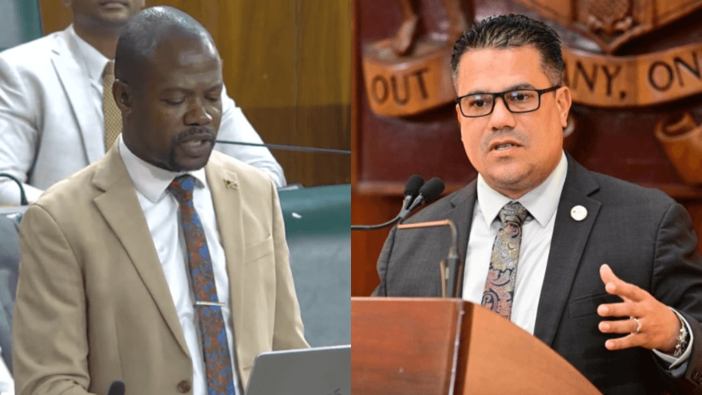 Newell says Samuda’s comments on mangrove destruction inconsistent with gov’t data