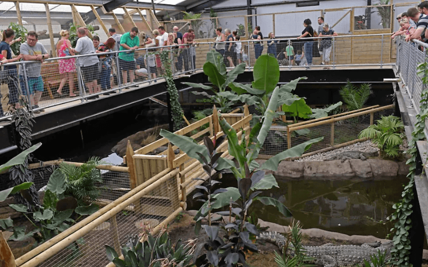 UK man charged with attempted murder after 3-y-o thrown to alligators at zoo — reports