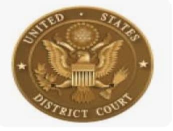 Immigration advocates hail court rejection of Trump’s ‘unlawful’ immigration restrictions