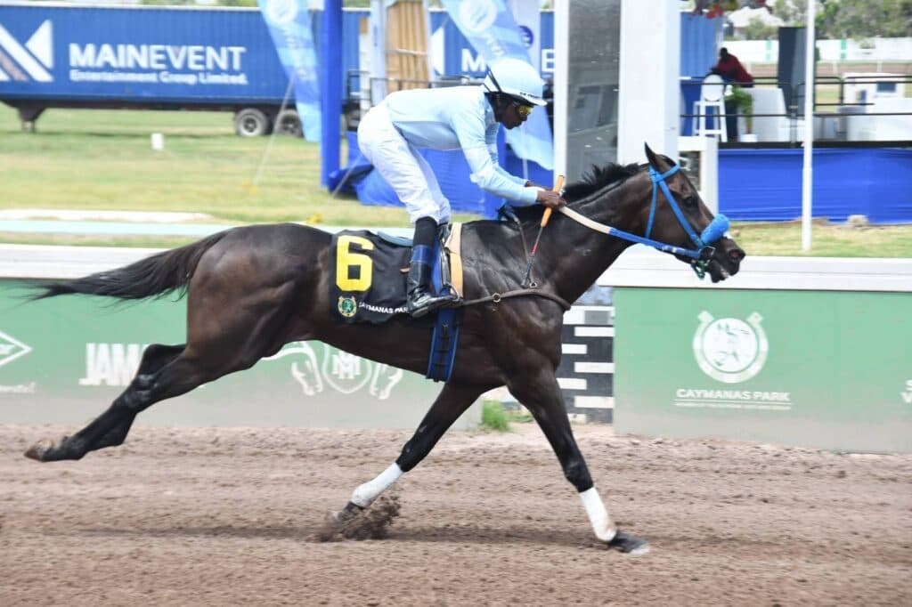 Warriorstomp ends 19-race wait with 31-1 shocker at Caymanas Park