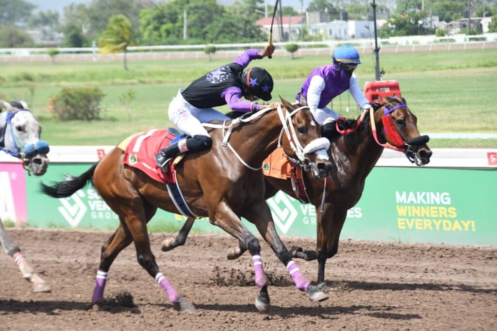 Storm Boy gets second win via Stewards’ decision