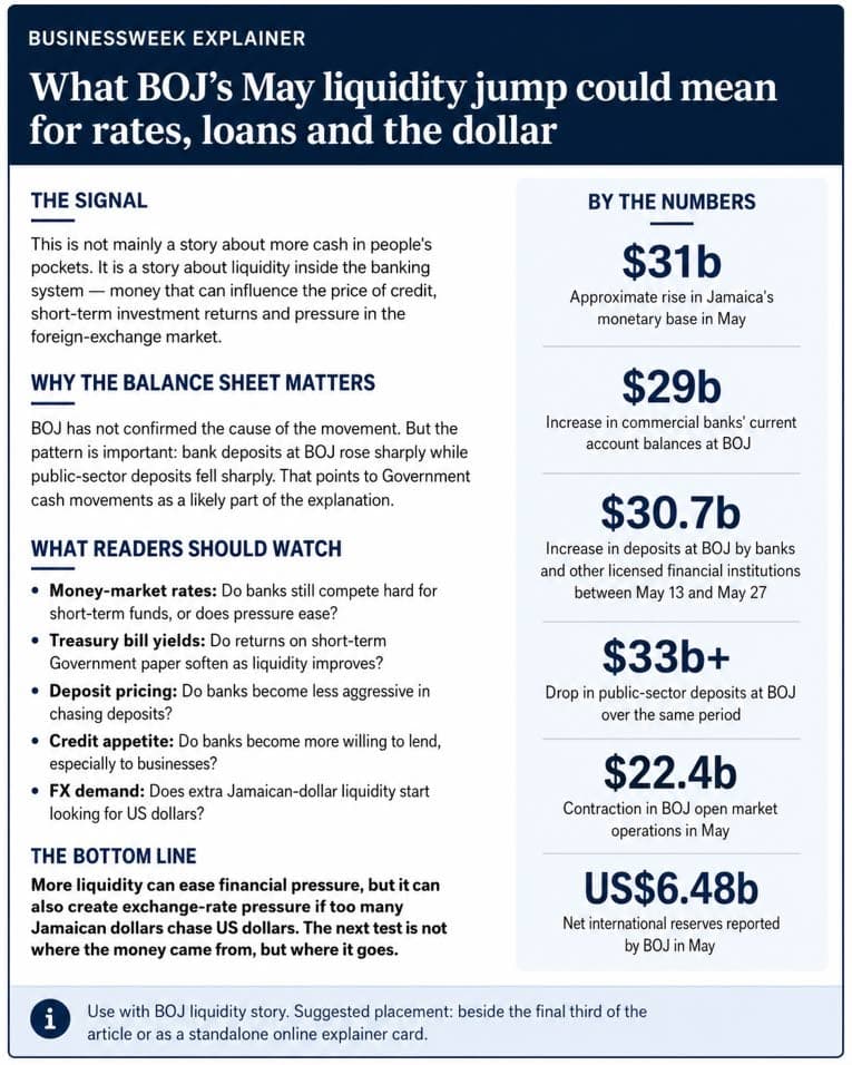 Banks park $29b more at BOJ as Government deposits fall