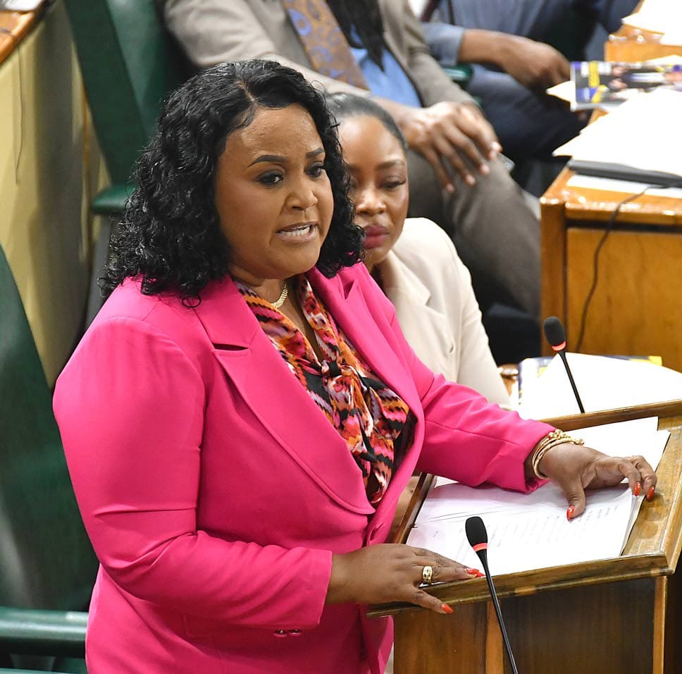 Neita Garvey pushes digital overhaul of municipal corporations