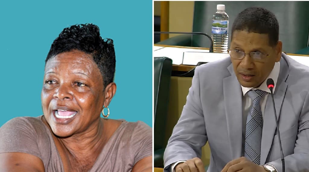 Interim injunction barring JLP councillor from going at MP granted
