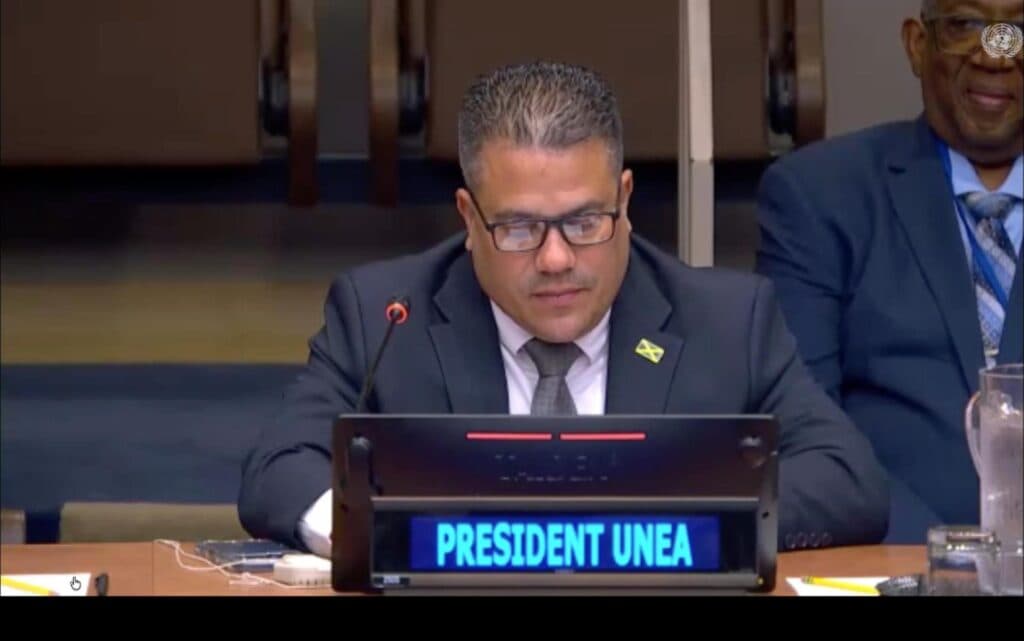 Samuda calls for accelerated global action on water, energy and sustainability at UN forum