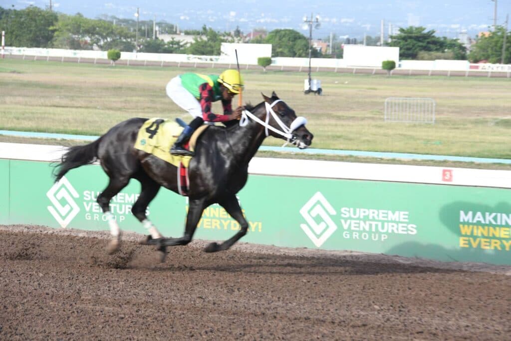 Nautical Star sails home by 7½ lengths in SVL 25th Anniversary Trophy